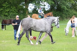 J36_6926 2026