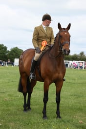 E36_0602 2026