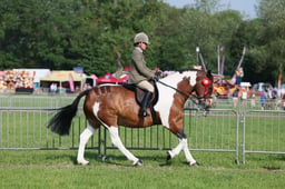 C34_0495 2026