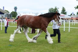 F44_0036 2026