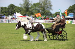 W33_1721 2026
