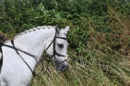 S60_0369 2026