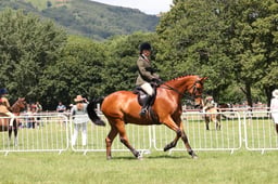L42_9198 2026