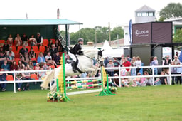 PC Team Jumping 80cm