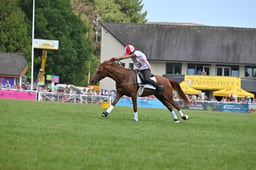 A68_2959 2026