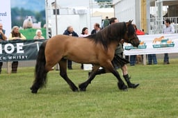 M44_0363 2026