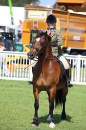 W33_0964 2026