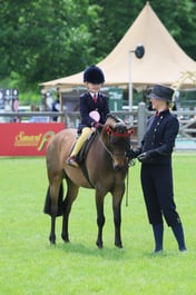 134 Show Pony Lead Rein