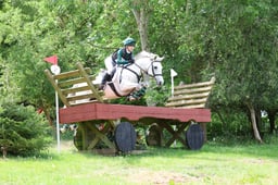 48 Curraghmore Sparrow