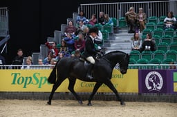 Show Hunter Pony of the Year Championship