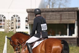 603 DHI NANGO Z