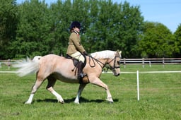 M19_0527 2026