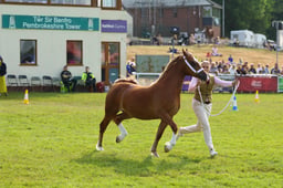 E69_0635 2026