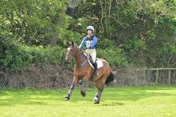 116 KILCOMBE LUXSAM