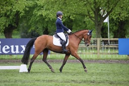 79 Pony Club Dressage