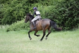 C35_2787 2026