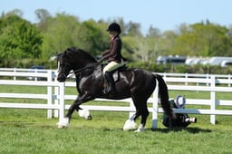 H19_2093 2026