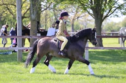 C19_1042 2026