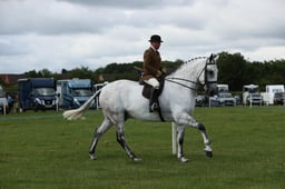 E36_0719 2026