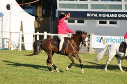 H46_9200 2026