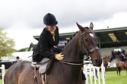 Ladies Side Saddle