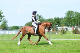 F33_1030 2026