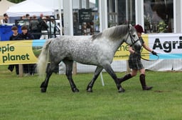M44_0770 2026