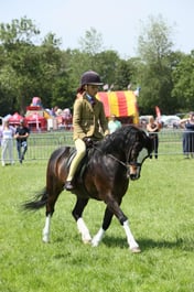 E33_5094 2026