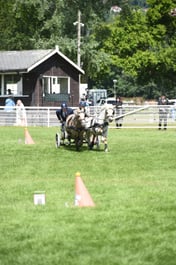 D42_1786 2026