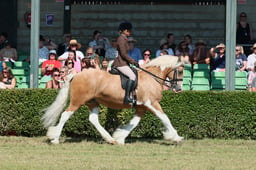 S61_0700 2026