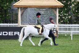 35 Senior Ridden Pony