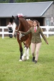 M41_0993 2026