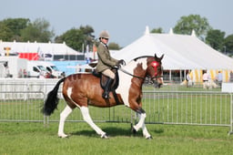 C34_0492 2026