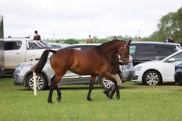 J36_5602 2026