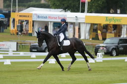 115 HARELAW WIZARD