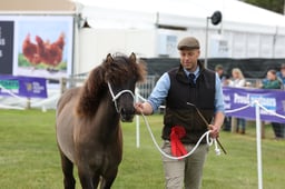 Male Championship