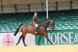 H29_0113 2026