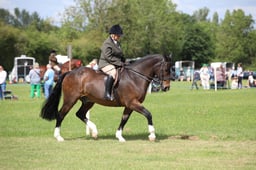 W36_2168 2026