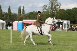 E36_2303 2026