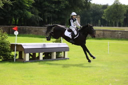 T40_7308 2026