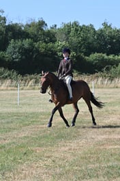 22 PERFORMANCE PONY 148cm