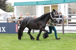 W29_0838 2026