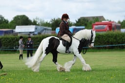 H36_7841 2026