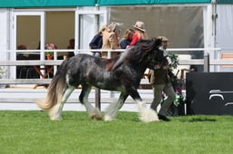 S28_8407 2026