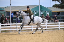 118B Middleweight Show Hunter