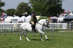 C34_1033 2026
