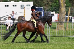 C33_1785 2026