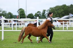 H44_8600 2026