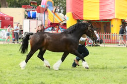 E34_2357 2026