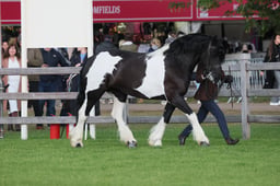 S28_9405 2026